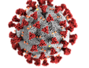 Informacje zwiazane z przeciwdziałaniem rozprzestrzenianiu się wirusa SARS-CoV-2